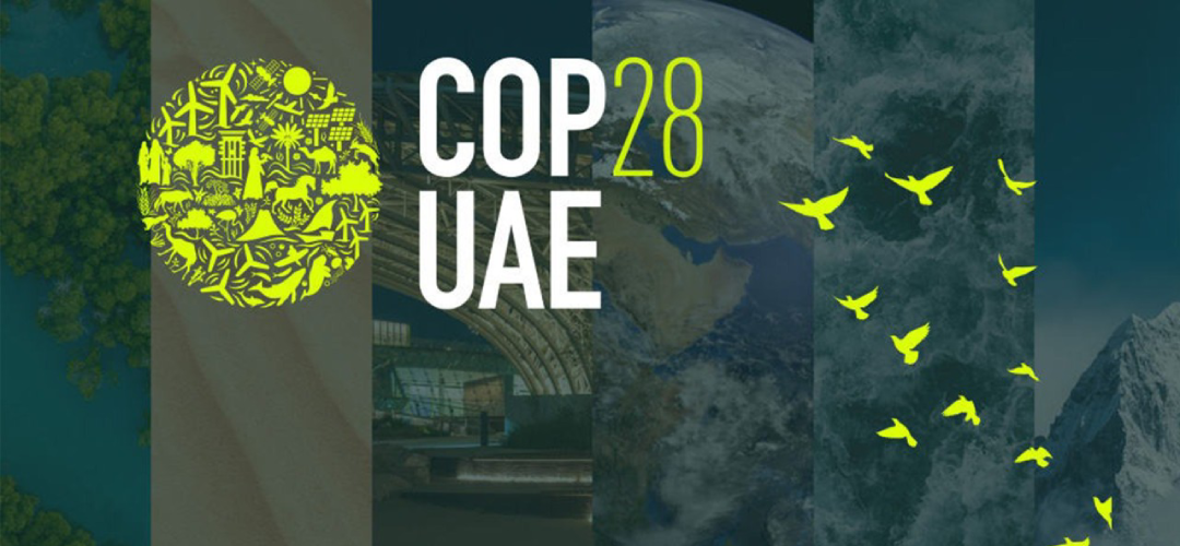 COP 28: Trailblazer or COP Out?