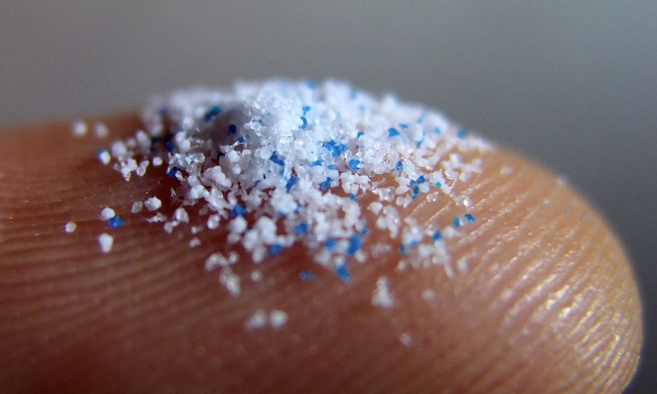 The effect of microplastics
