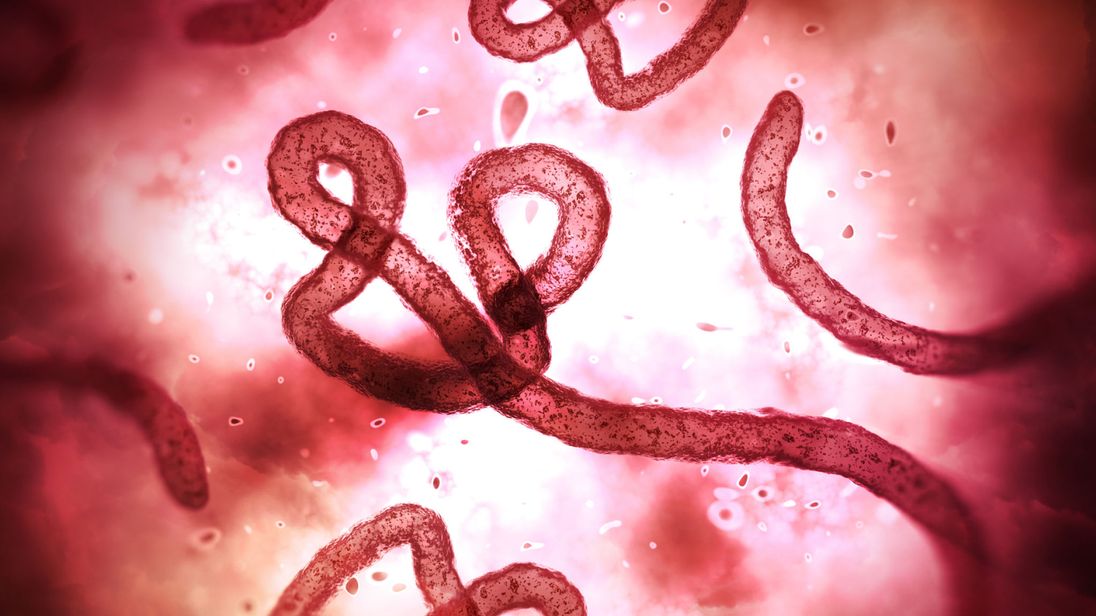 Ebola outbreak in DRC