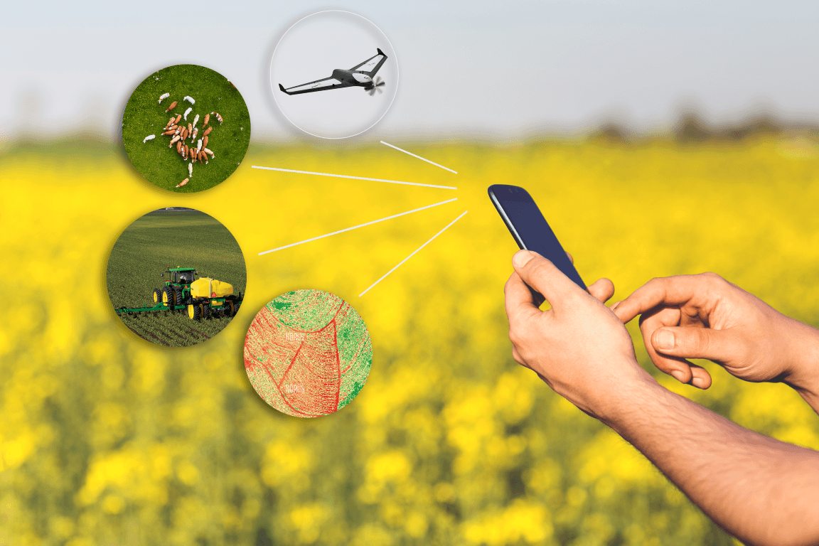 AI for Agriculture in India