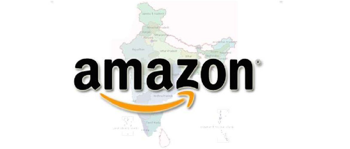 Amazon Investment-Largesse or Liability