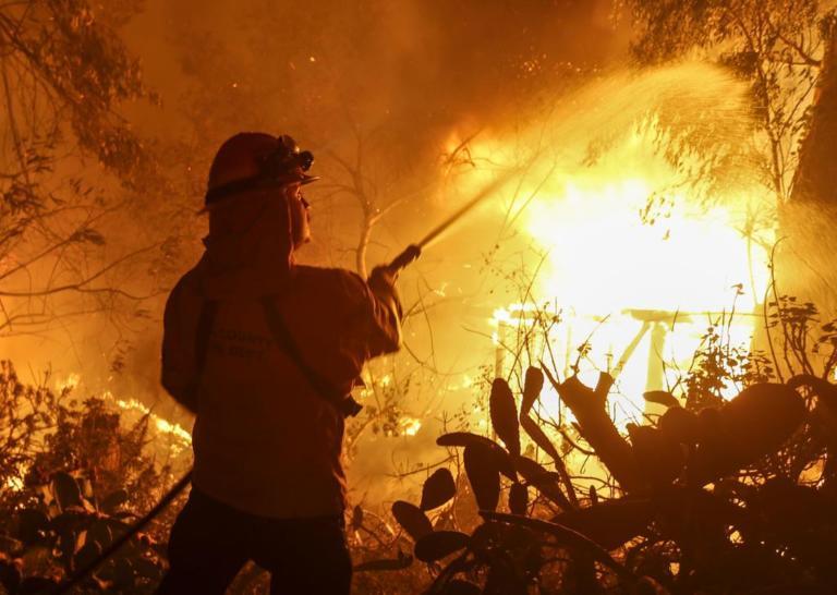 California wildfire toll rises 