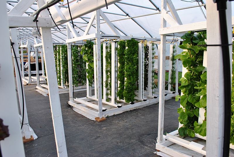 Vertical Farms race to transform future of Food Growth