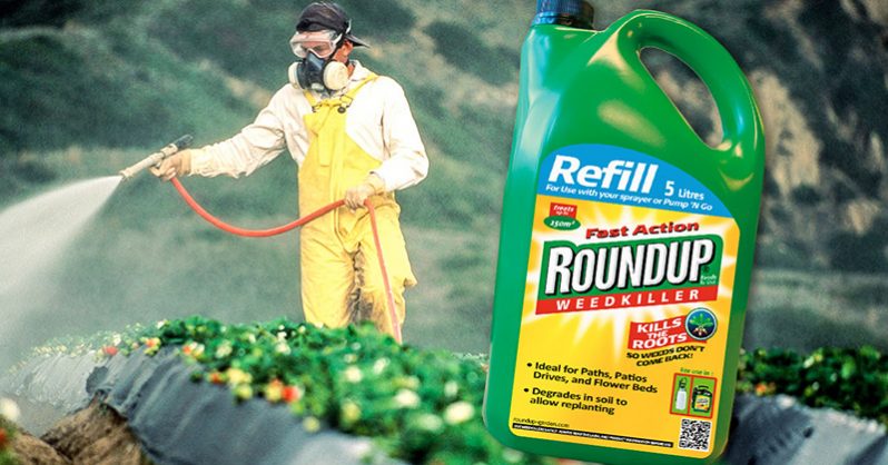 Legal troubles for Monsanto