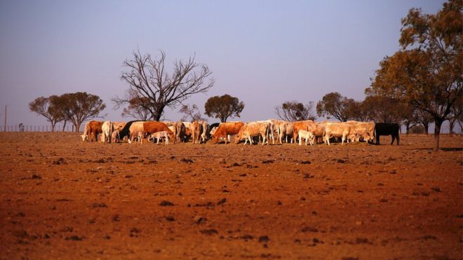 Australia: land of drought 