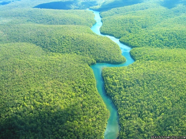 Brazil’s President Threatens the Amazon 