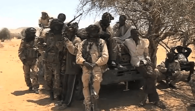 What’s happening in Darfur? 