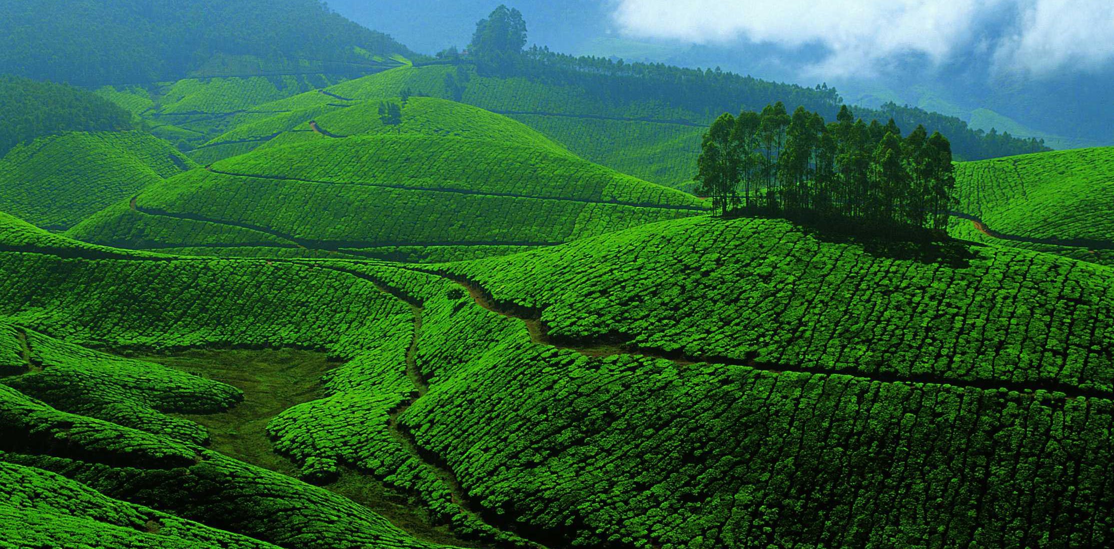Kerala: Development for a green future 
