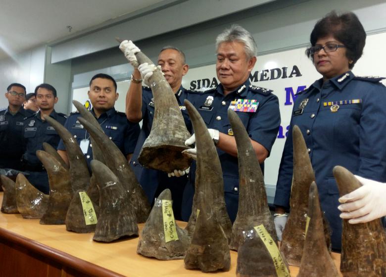 Malaysia seizes 18 rhino horns worth more than $3 million 