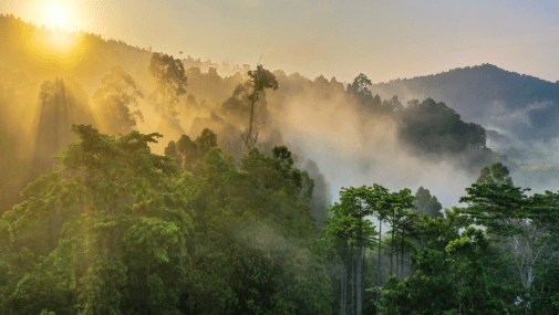 Sustainable Development in Amazon