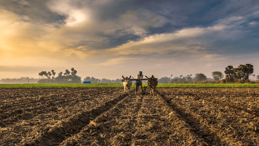 RESCUING INDIAN AGRICULTURE