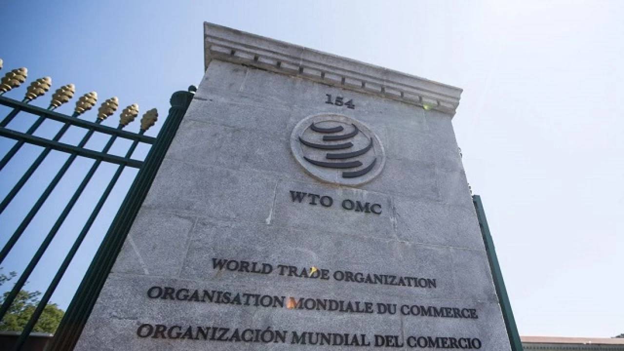 Trade War: Will the WTO Survive?